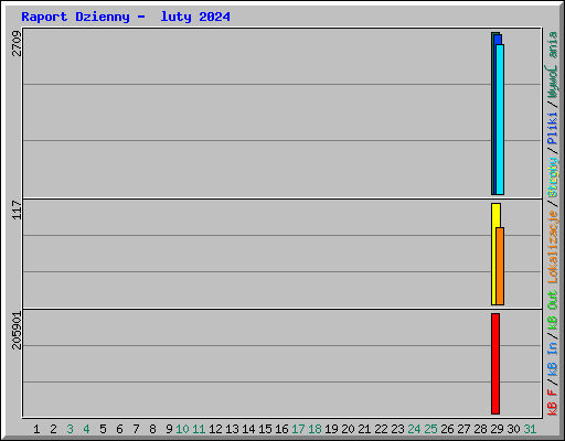 Raport Dzienny -  luty 2024