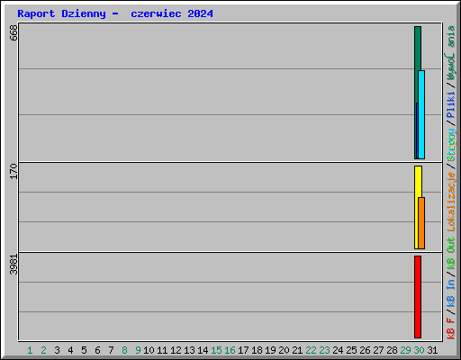 Raport Dzienny -  czerwiec 2024