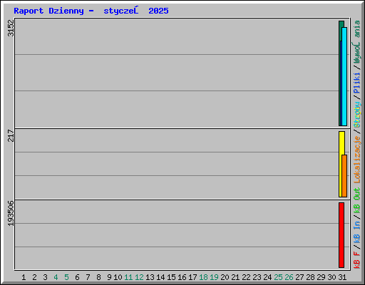 Raport Dzienny -  styczeń 2025