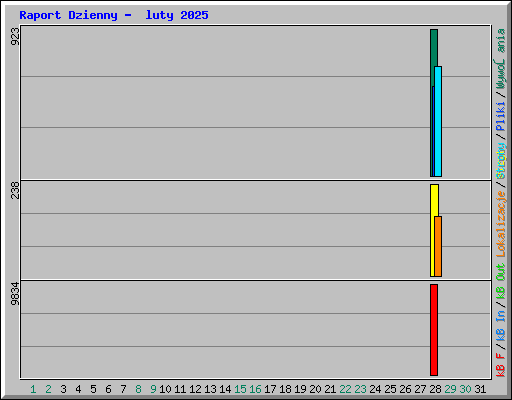 Raport Dzienny -  luty 2025