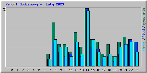 Raport Godzinowy -  luty 2023