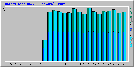 Raport Godzinowy -  styczeń 2024
