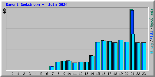 Raport Godzinowy -  luty 2024