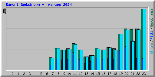 Raport Godzinowy -  marzec 2024