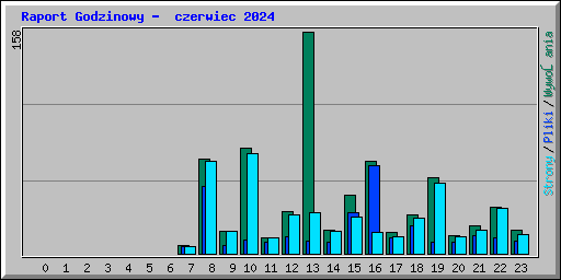 Raport Godzinowy -  czerwiec 2024