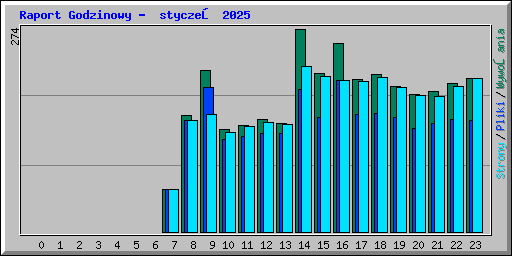 Raport Godzinowy -  styczeń 2025