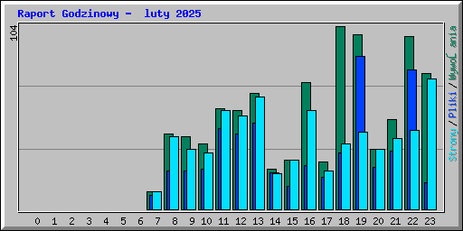 Raport Godzinowy -  luty 2025