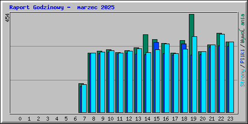 Raport Godzinowy -  marzec 2025
