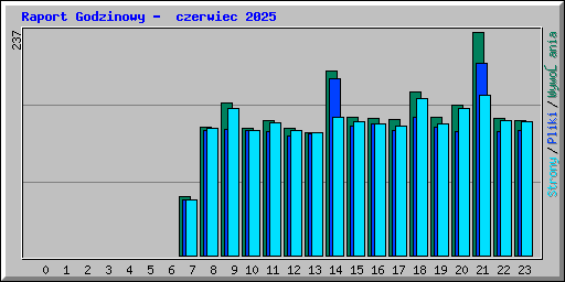 Raport Godzinowy -  czerwiec 2025