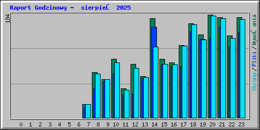 Raport Godzinowy -  sierpień 2025