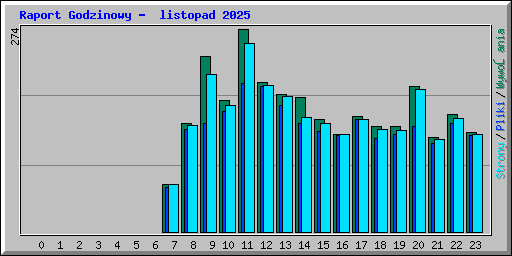 Raport Godzinowy -  listopad 2025